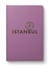 ISTANBUL CITY GUIDE 2023 (FRANCAIS)
