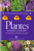 Herbes et plantes aromatiques