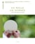 Vie recue, vie donnée - l'offrande eucharistique