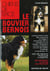 Bouvier bernois