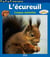 L'écureuil, croque-noisettes