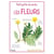 Les fleurs - identifie  fleurs