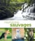 Horizons sauvages