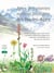 Atlas des plantes rares ou protégées des hautes-alpes