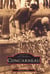 Concarneau Tome 1