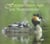 Faune sauvage en normandie