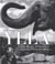 Ylla : The birth of modern animal potography