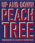 Up and down peachtree: photos of Atlanta