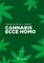 CANNABIS ECCE HOMO