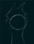 Venus du jamais mort - 2011-2018