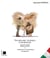 Vocabulaire technique d'archéologie français-italien, italien-français - préhistoire et protohistoire européenne 