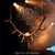 Best of live 22nd anniversary - édition limitée
