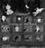 Roger ballen asylum of the birds (paperback)