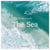 The life and love of the sea