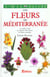 Les fleurs mediterraneennes