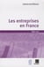 Les entreprises en France - Édition 2013