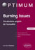 Burning issues - vocabulaire anglais de l'actualité (2e édition)