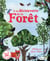 A LA DECOUVERTE DE LA FORET