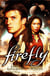 Firefly Tome 1 : big damn hero