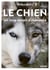 Le chien, un loup rempli d'humanité