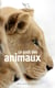 Le goût des animaux