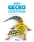 Gecko léopard - eublepharis macularius