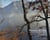 Paysages de l ame, jean-jacques rousseau dans la nature