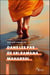 Dans les pas de Sri Ramana Maharshi