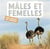 Mon imagier des animaux : mâles et femelles