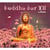 Buddha Bar /vol.12