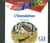 L'inondation - lecture en français facile - niveau 4