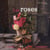 Les roses - variations jardin