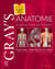 Gray's Anatomie : Le Manuel pour les étudiants