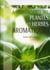 Decouverte des plantes et herbes aromatiques (a la)