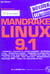 Linux mandrake 9.1 