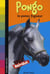 100 % animaux  - pongo, le poney fugueur
