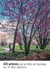 40 arbres de la ville de Genève au fil des saisons