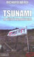 Tsunami, la vérité humanitaire
