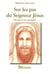 Sur les pas du seigneur jésus - découvrir les évangiles