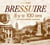 Bressuire il ya 100 ans en carte postale