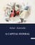A CAPITAL FEDERAL : Impressões de um Sertanejo na Capital