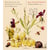 Suites d'orchestre /vol.2