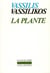 La plante