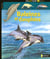 Baleines et dauphins