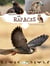 Les rapaces