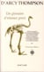 Un glossaire d'oiseaux grecs traduit et augmenté de commentaires dilettantes, d'anecdotes délectables prises à divers auteurs anciens et modernes, de remarques saisissantes et de propos inactuels sur la situation présente