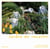 Jardin de rocaille