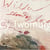 Cy twombly - album de l'exposition