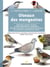 Oiseaux des mangeoires