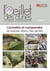 Oeillet des dunes Tome 4 - connaître et comprendre la nature dans l'île de Ré